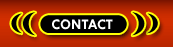 Busty Phone Sex Contact Ohio
